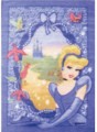 Cinderella-castle