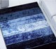 New-York-Shaggy-2001-blue2