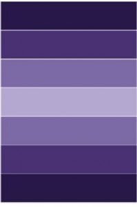 New-York-Shaggy-2001-purple